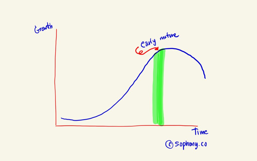 S Curve ช่วง early mature