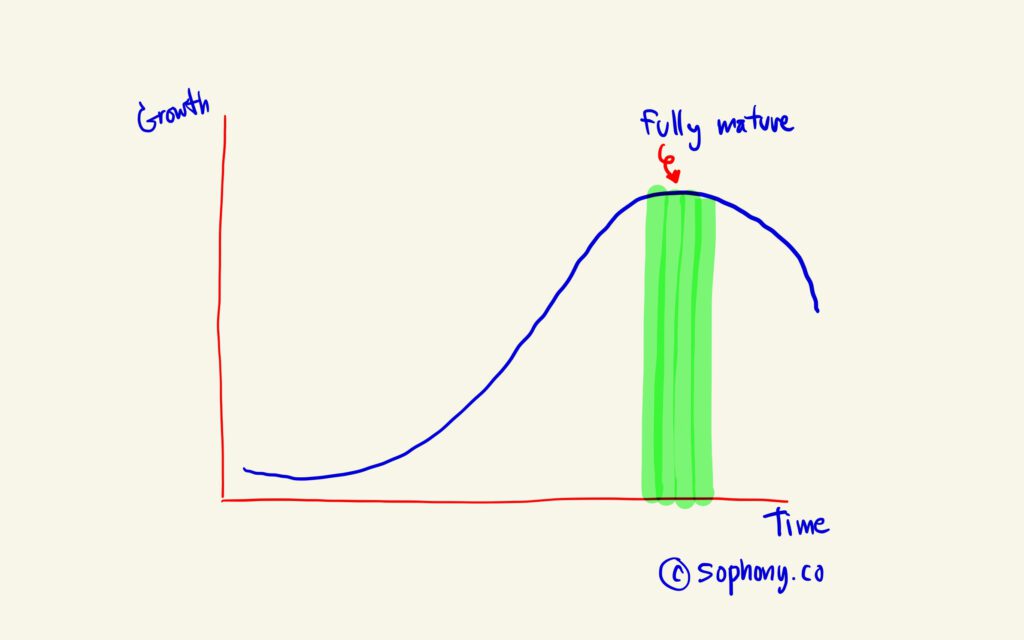 S Curve ช่วง fully mature